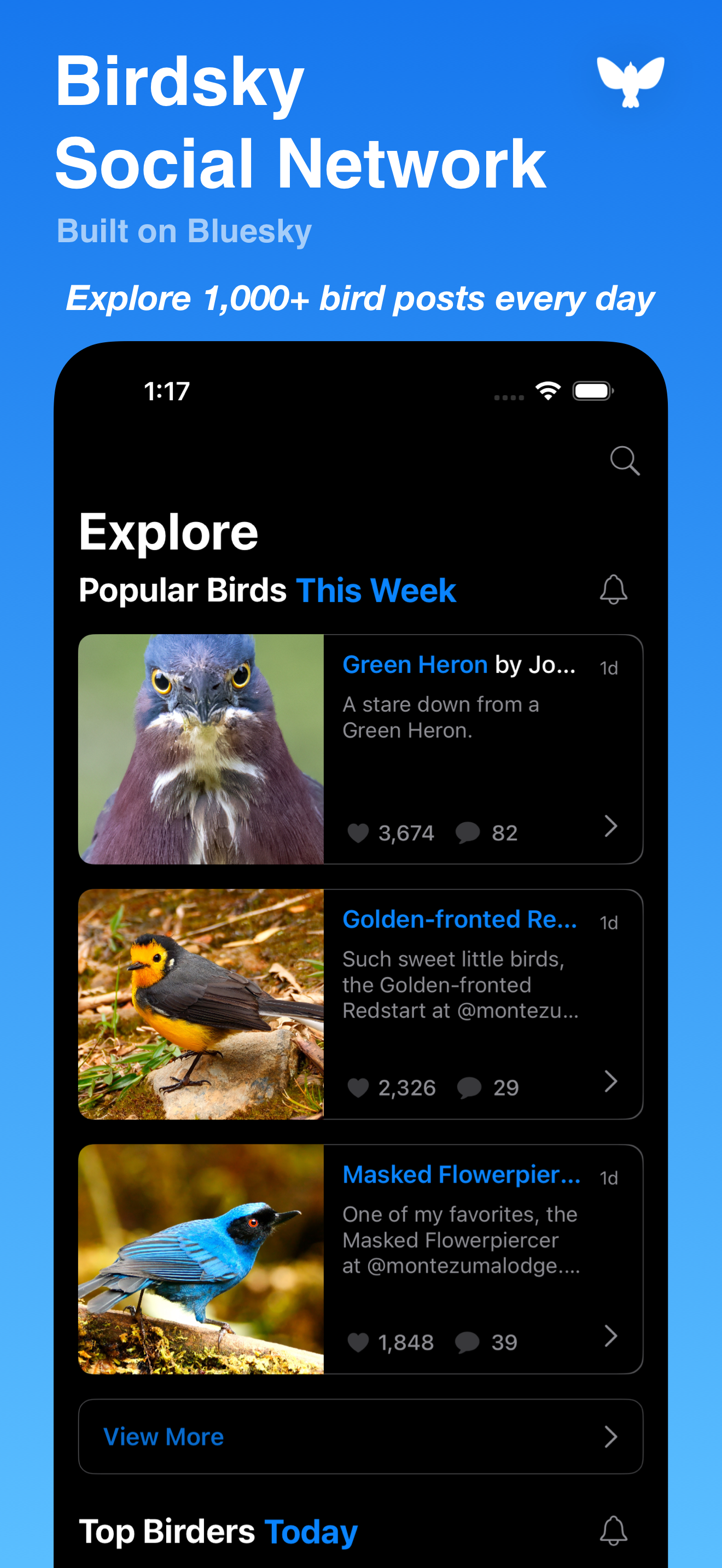 Birdsky App - Screenshot 1