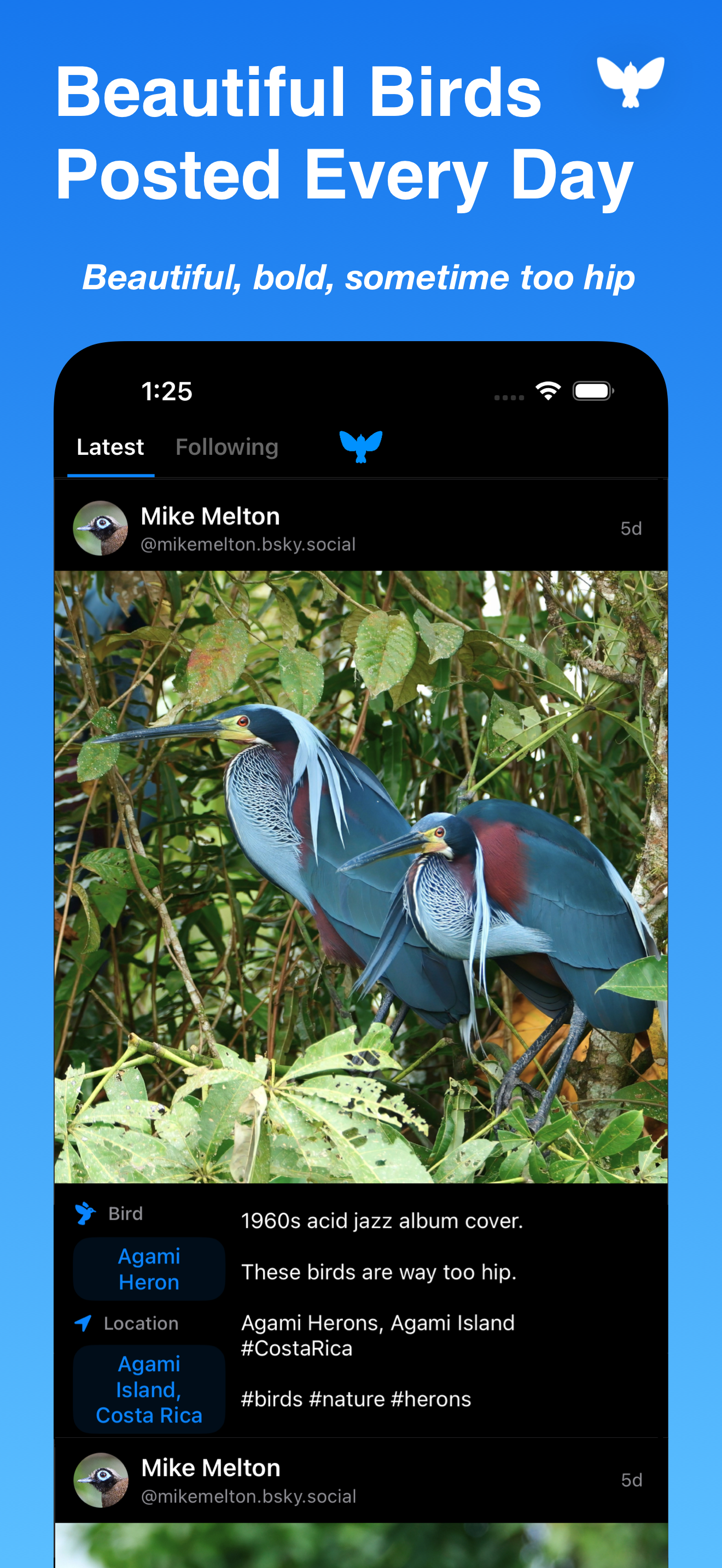 Birdsky App - Screenshot 3