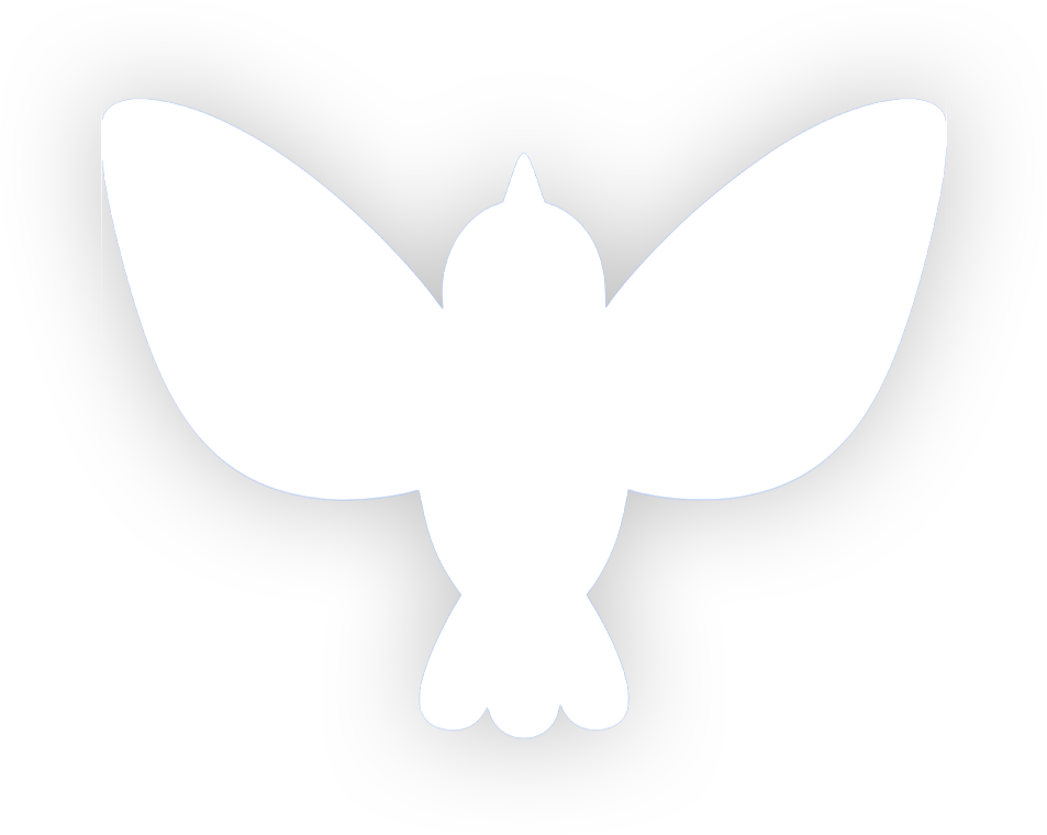 Birdsky
